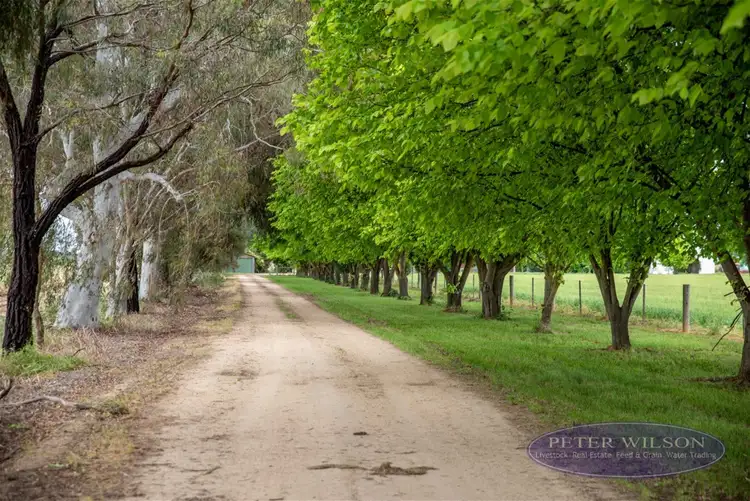 Second view of Homely rural property listing, 224 Chapel Road, Cobram VIC 3644