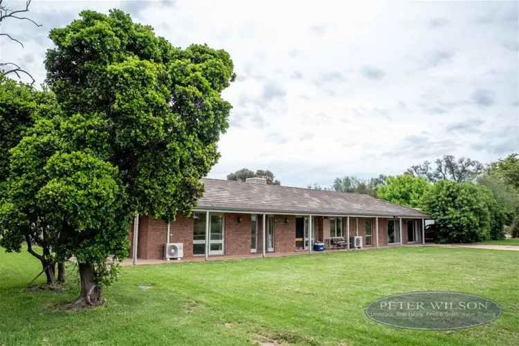 Third view of Homely rural property listing, 224 Chapel Road, Cobram VIC 3644