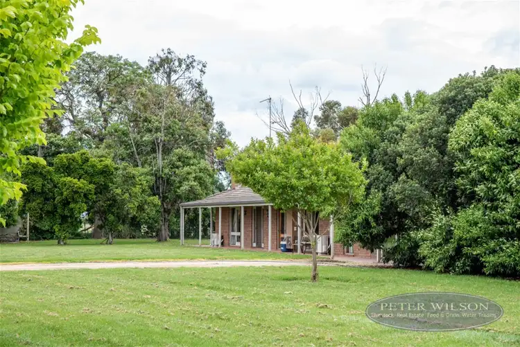Fourth view of Homely rural property listing, 224 Chapel Road, Cobram VIC 3644