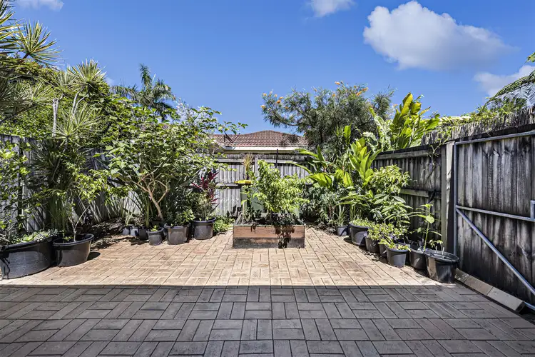 Second view of Homely unit listing, 6/1 Aragorn Street, Maroochydore QLD 4558