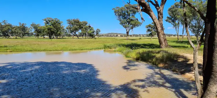 Fifth view of Homely rural property listing, Lot 283/91 Old Wallendbeen Rd, Stockinbingal NSW 2725
