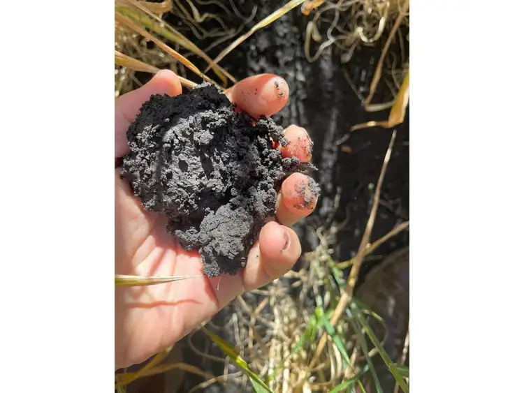 Second view of Homely rural property listing, Address available on request