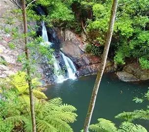 Third view of Homely rural property listing, 902 Currumbin Creek Road, Currumbin Valley QLD 4223