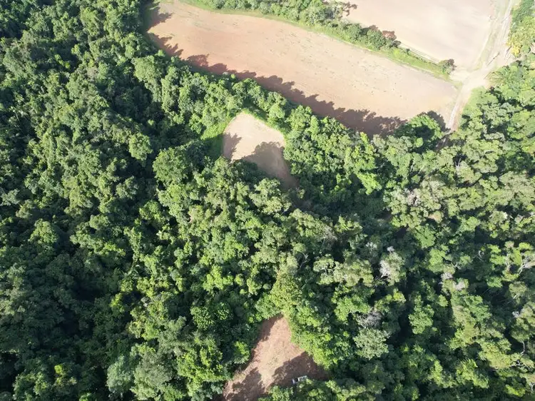 Fifth view of Homely land listing, 376 Finlayvale Road, Mossman QLD 4873