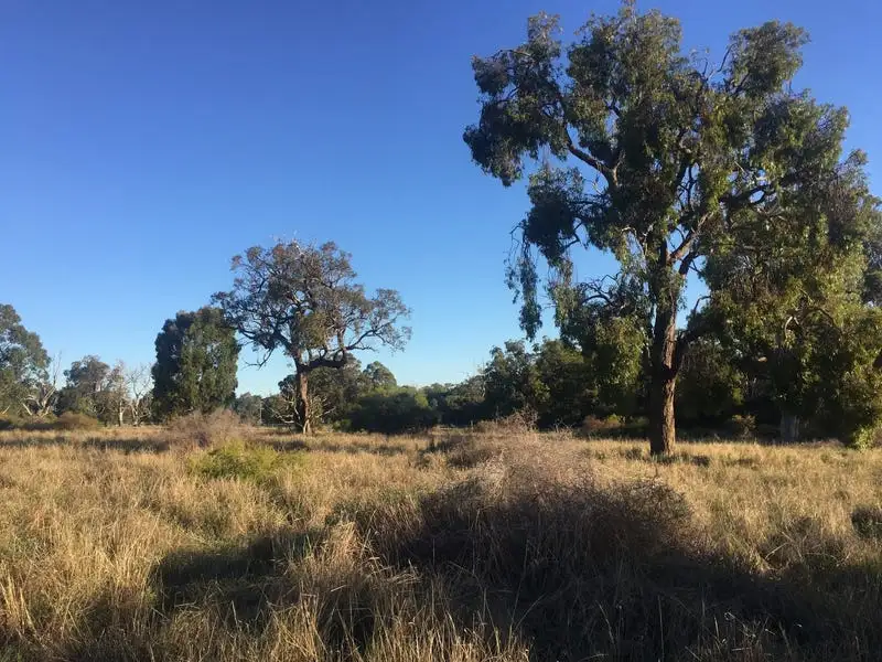 Main view of Homely land listing, Lot 851 Grasshill Road, Karnup WA 6176