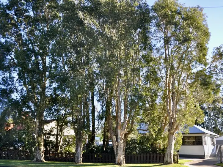 Third view of Homely house listing, 5 Adam, Blackalls Park NSW 2283