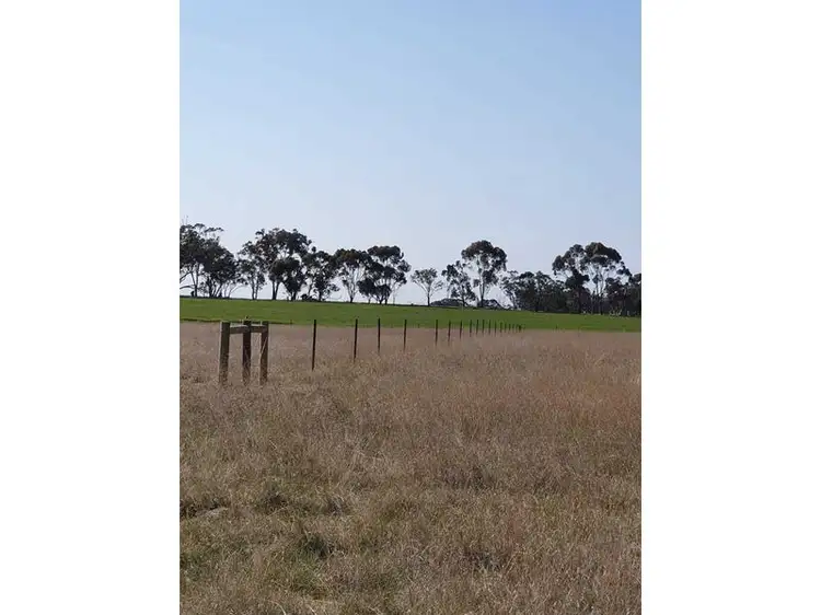 Fourth view of Homely rural property listing, Burrows Road, Woodstock On Loddon VIC 3551