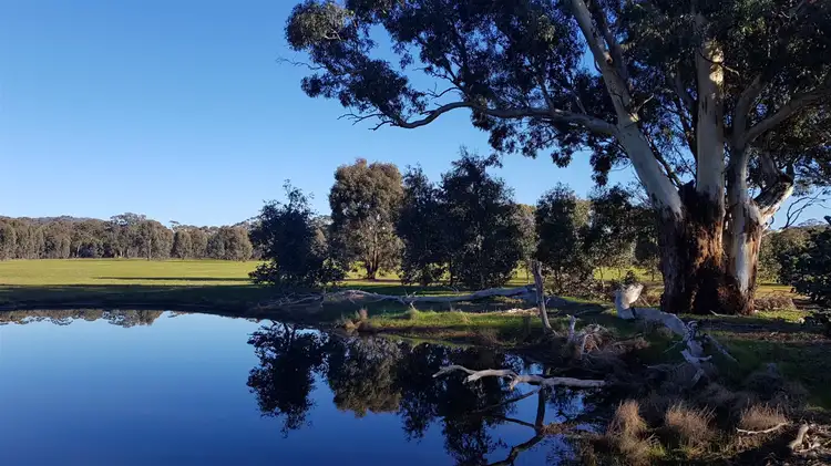 164 Mount View Rd, Goldsborough VIC 3472