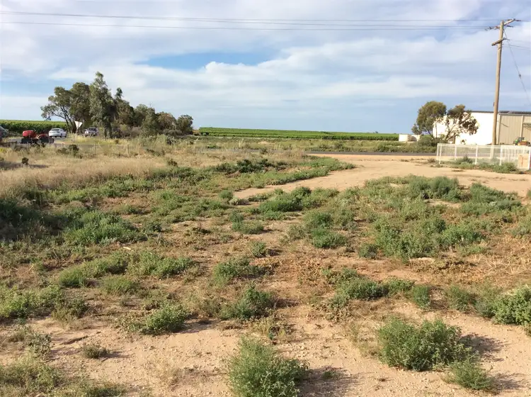 Third view of Homely rural property listing, 531 Chillingollah Road, Woorinen VIC 3589