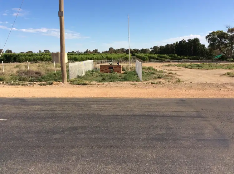 Sixth view of Homely rural property listing, 531 Chillingollah Road, Woorinen VIC 3589