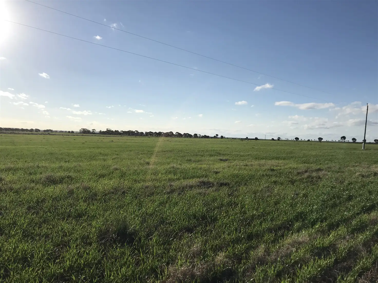 Main view of Homely rural property listing, Lot 72 / 151 Cameron Road & Koolyanobbing - Southern Cross Road, Southern Cross WA 6426