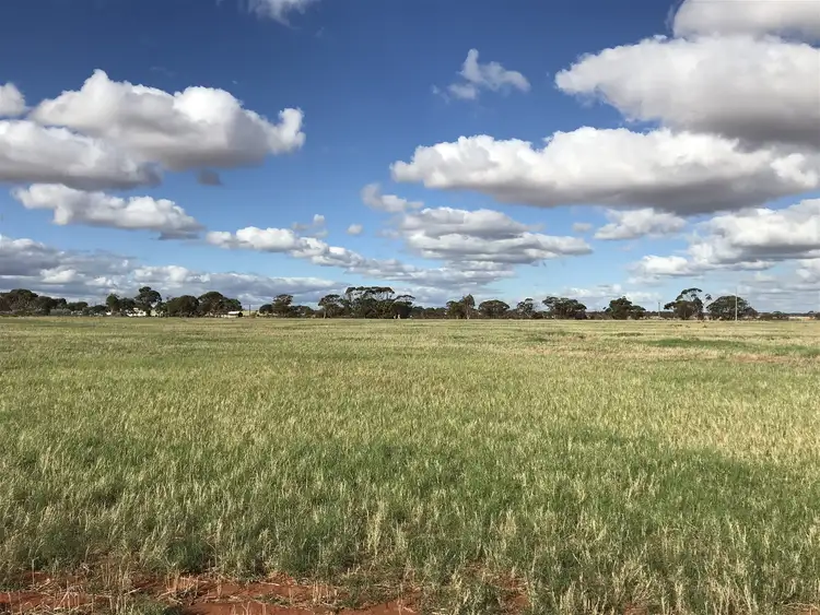 Second view of Homely rural property listing, Lot 72 / 151 Cameron Road & Koolyanobbing - Southern Cross Road, Southern Cross WA 6426