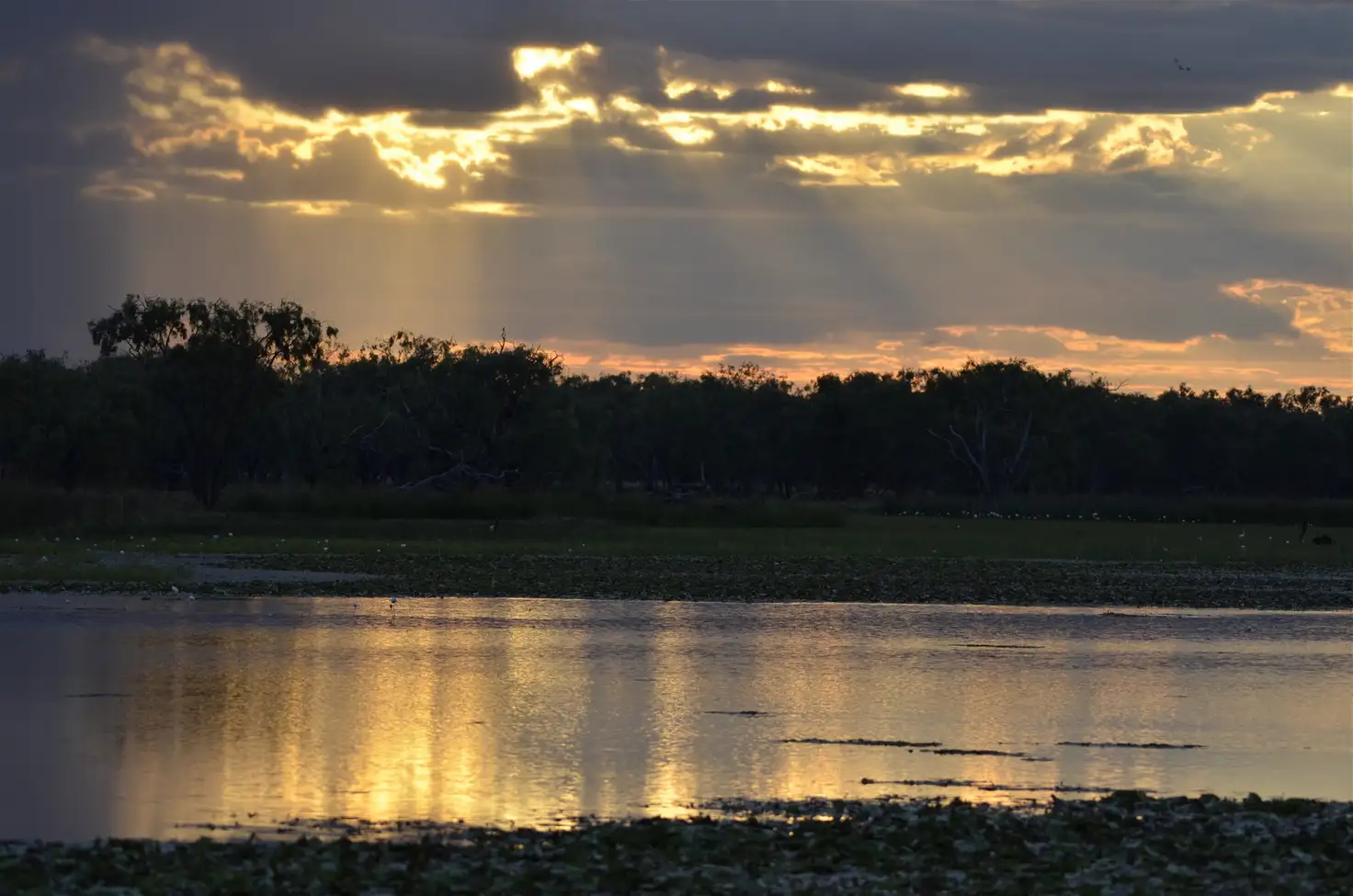 Main view of Homely rural property listing, Lot 2 Gulf Development Road, Normanton QLD 4890