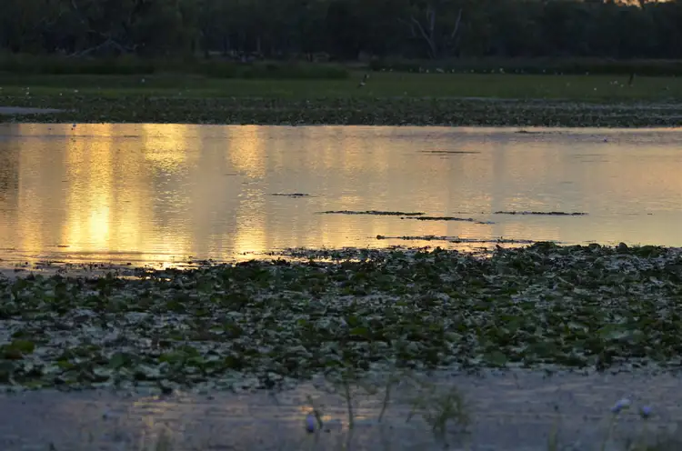 Fifth view of Homely rural property listing, Lot 2 Gulf Development Road, Normanton QLD 4890