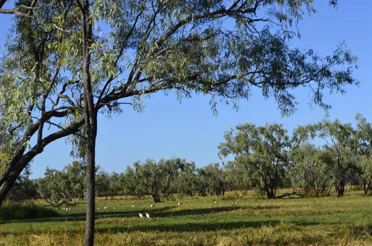 Sixth view of Homely rural property listing, Lot 2 Gulf Development Road, Normanton QLD 4890