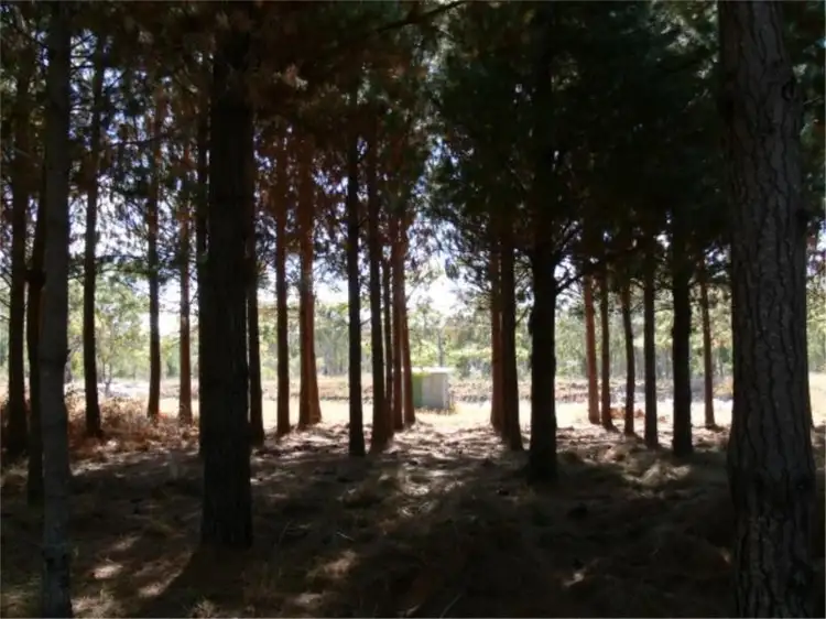 Fifth view of Homely house listing, 25 Mt Hutton Road, Stanthorpe QLD 4380