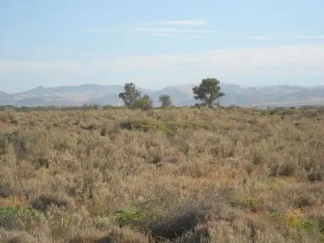 Lot 72 Telowie Street, Port Germein SA 5495