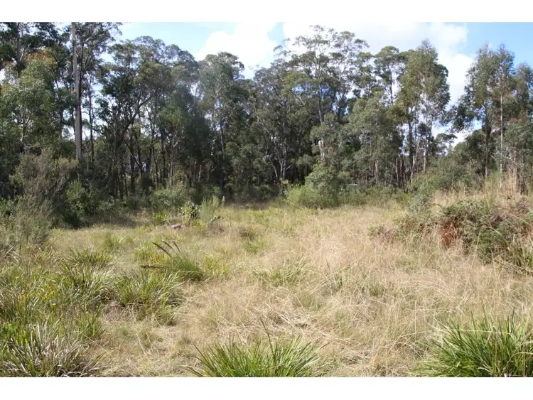 Seventh view of Homely land listing, 869 Chifley Road, Clarence NSW 2790