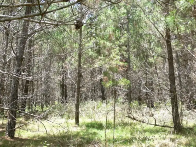 Seventh view of Homely land listing, Lot 233 Central Road, Sugarloaf via, Stanthorpe QLD 4380