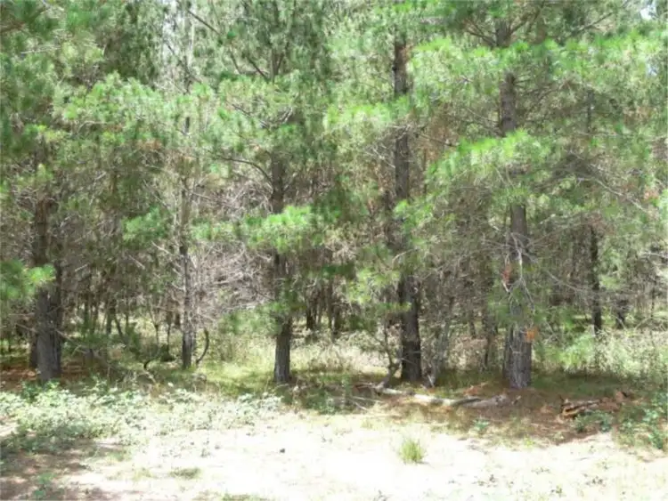 Fourth view of Homely land listing, Lot 233 Central Road, Sugarloaf via, Stanthorpe QLD 4380