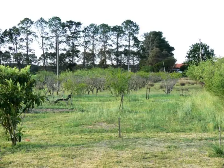 Third view of Homely house listing, 51 Parkers Lane, Thulimbah QLD 4376