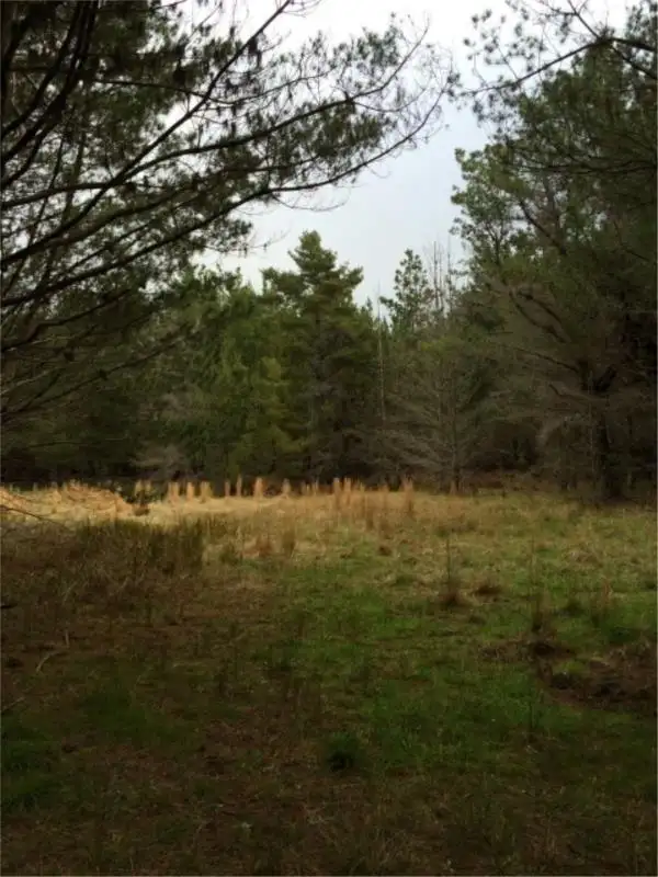 Fifth view of Homely land listing, Lot 243 Radiata Cres, Sugarloaf via, Stanthorpe QLD 4380