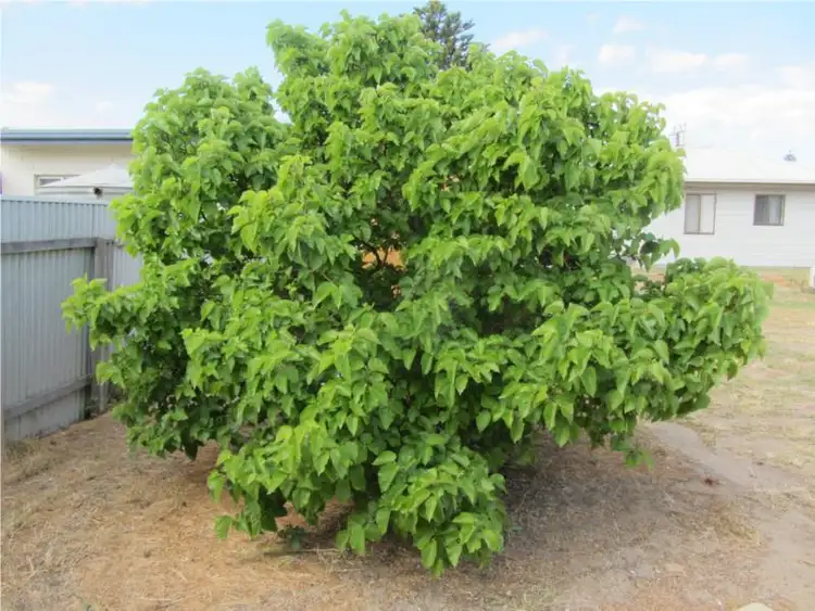 Sixth view of Homely house listing, 3 Oakham Street, Encounter Bay SA 5211