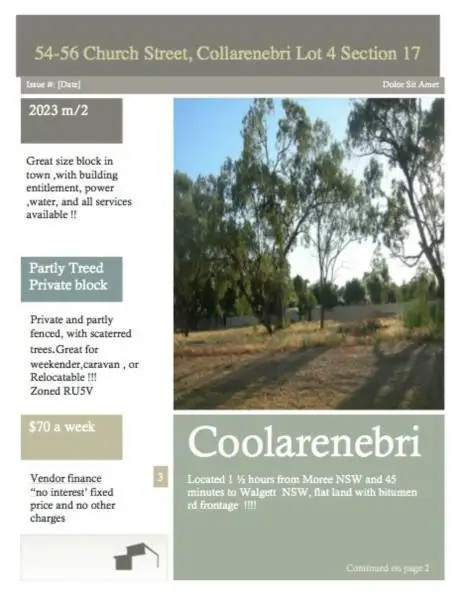 Third view of Homely land listing, 54-56 Church Street, Collarenebri NSW 2833