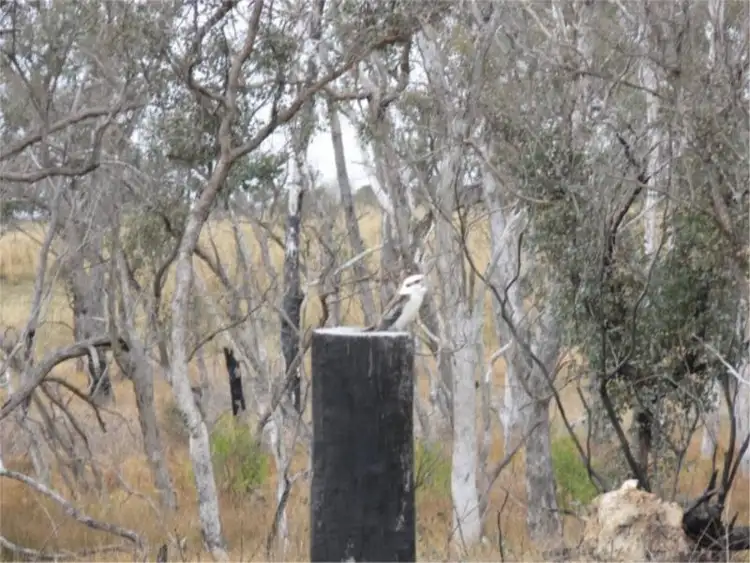 Sixth view of Homely land listing, Lot 16 Bau Court, Stanthorpe QLD 4380