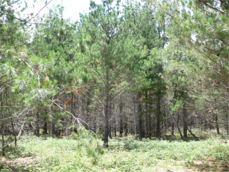 Fifth view of Homely land listing, Lot 233 Central Road, Sugarloaf via, Stanthorpe QLD 4380