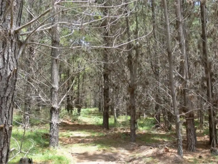 Sixth view of Homely land listing, Lot 232 Central Road, Sugarloaf via, Stanthorpe QLD 4380