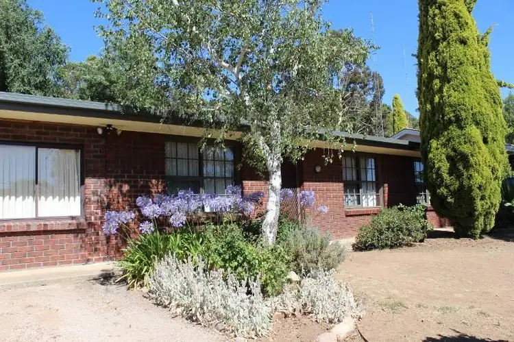 43 West Terrace, Clare SA 5453