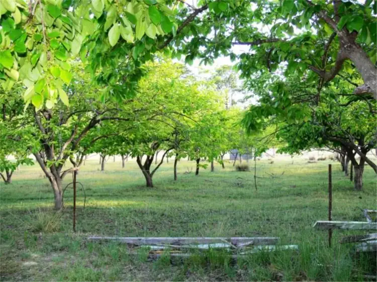 Fourth view of Homely house listing, 51 Parkers Lane, Thulimbah QLD 4376