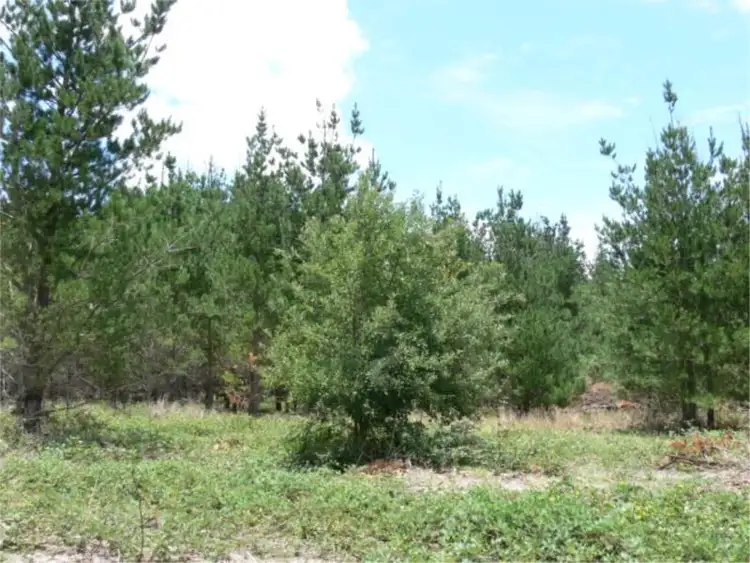 Sixth view of Homely land listing, Lot 234 Central Road, Sugarloaf via, Stanthorpe QLD 4380