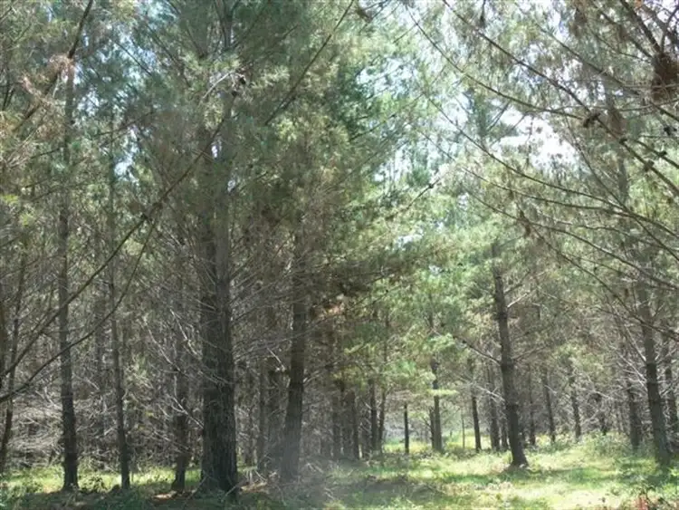 Fifth view of Homely land listing, Lot 244 Radiata Close, Stanthorpe QLD 4380