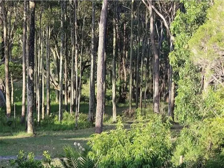 Fifth view of Homely house listing, 79 Tallawang Avenue, Malua Bay NSW 2536