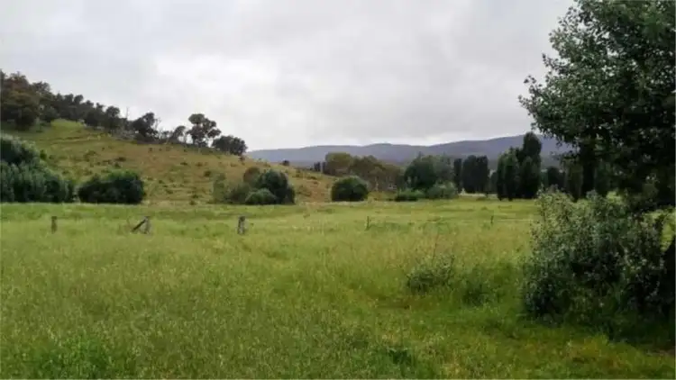 Seventh view of Homely house listing, 178 Williamsdale Road, Burra NSW 2620