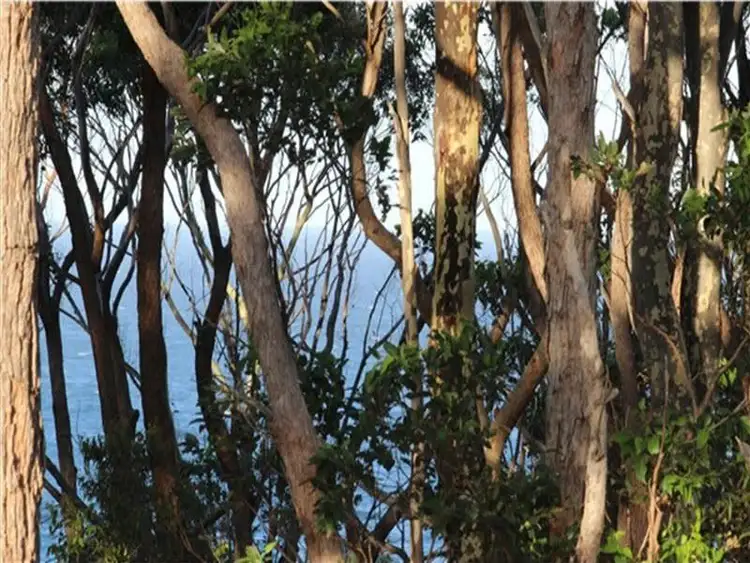 Second view of Homely house listing, 79 Tallawang Avenue, Malua Bay NSW 2536