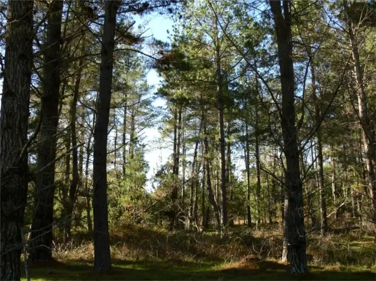 Fourth view of Homely land listing, Lot 264 Panoramic Drive, Stanthorpe QLD 4380