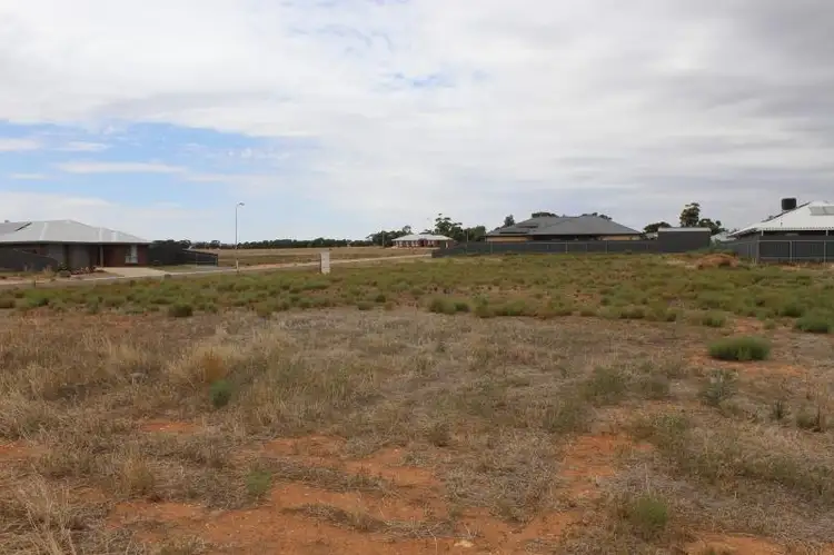 6 Cook Avenue, Blyth SA 5462