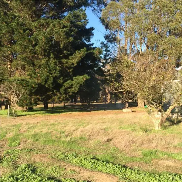 Second view of Homely rural property listing, 1480 Riches road, Mount Barker WA 6324