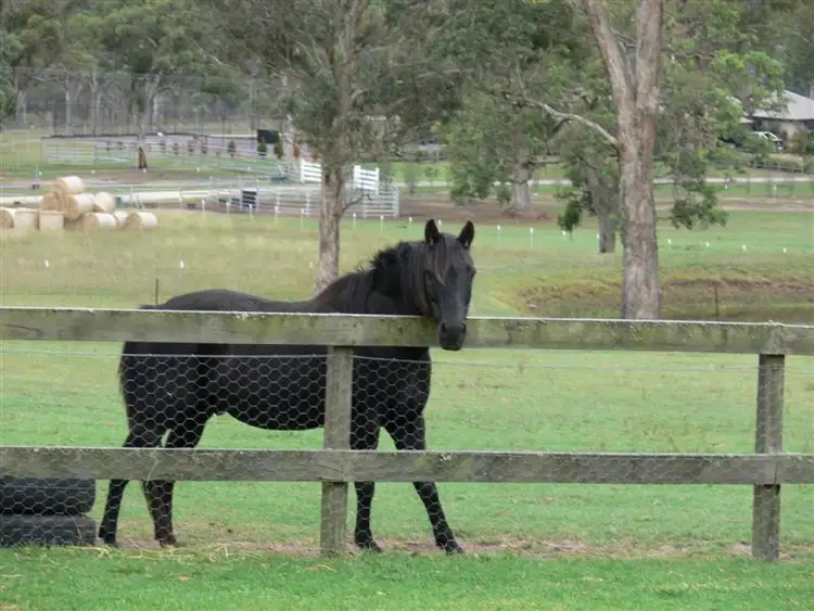 Seventh view of Homely house listing, 9 Neville Lane, Stanthorpe QLD 4380
