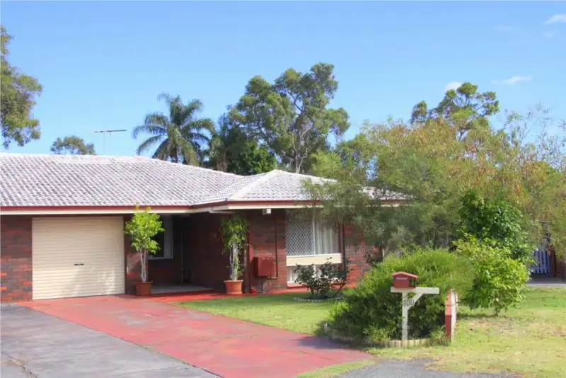 Main view of Homely semi-detached listing, 100 Leeds Street, Dianella WA 6059