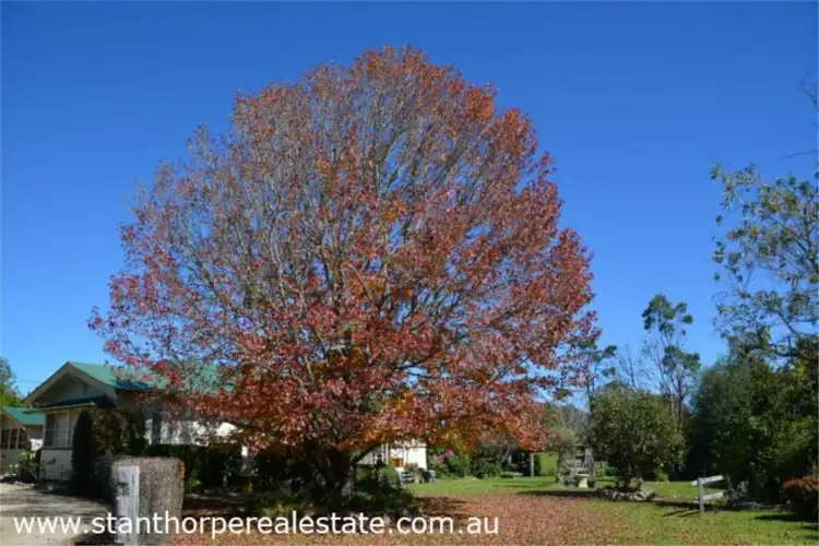Fifth view of Homely house listing, 91 Granite Belt Drive, The Summit via, Stanthorpe QLD 4380