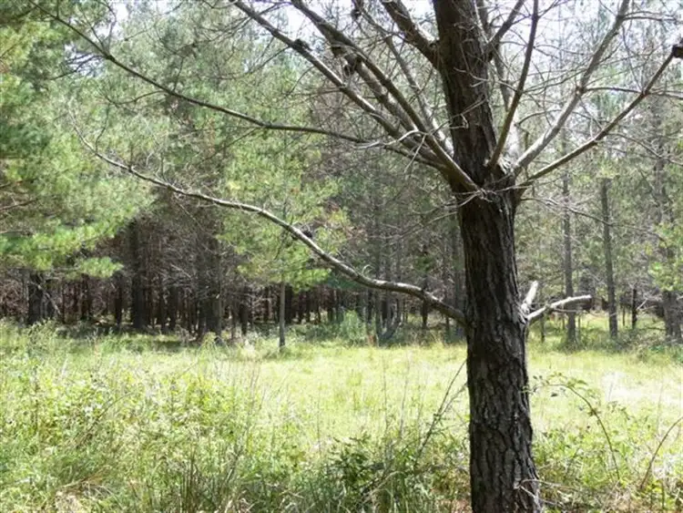 Sixth view of Homely land listing, Lot 244 Radiata Close, Stanthorpe QLD 4380