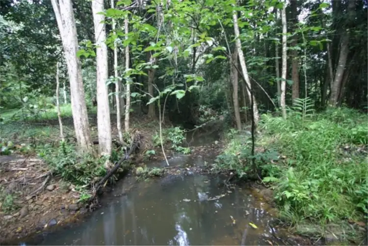 Second view of Homely land listing, 24 Cocos Court, Doonan QLD 4562