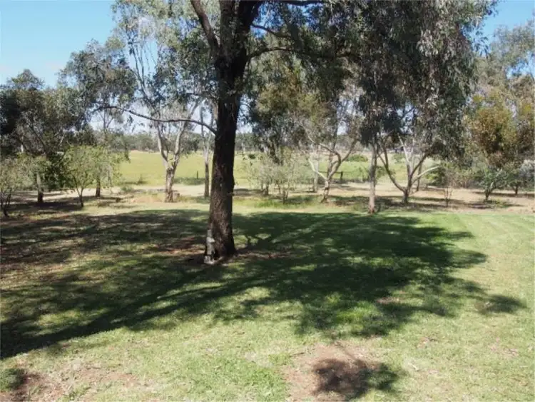 Fourth view of Homely rural property listing, 423 White Hut Road, Clare SA 5453