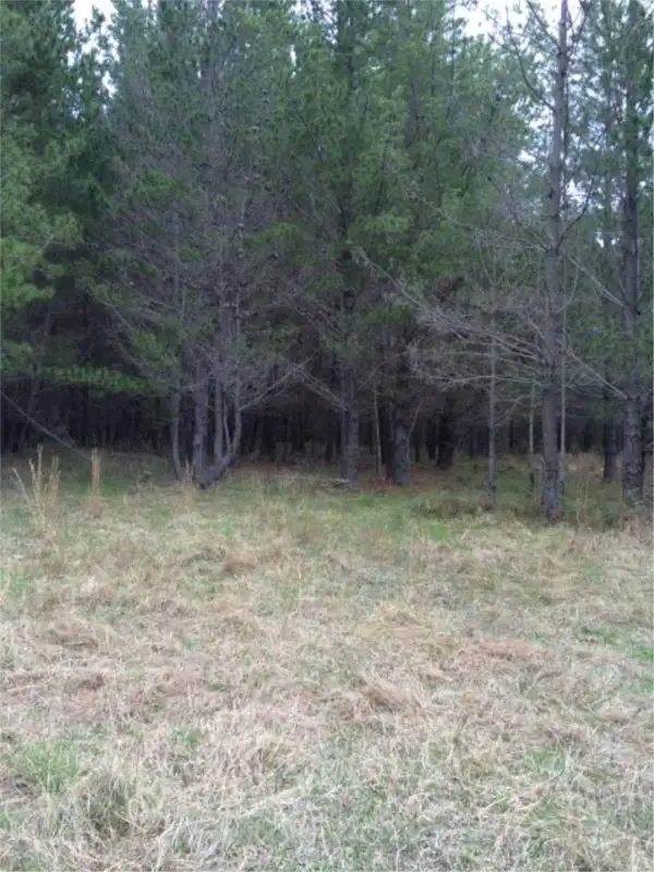 Sixth view of Homely land listing, Lot 242 Radiata Cres, Sugarloaf via, Stanthorpe QLD 4380