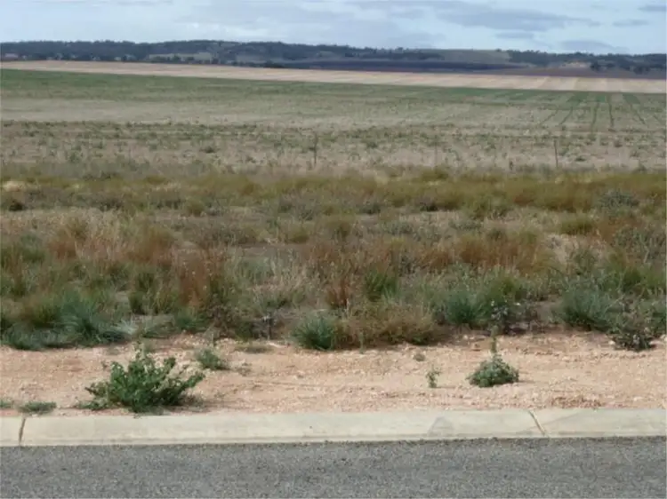 39 Eime Drive, Blyth SA 5462