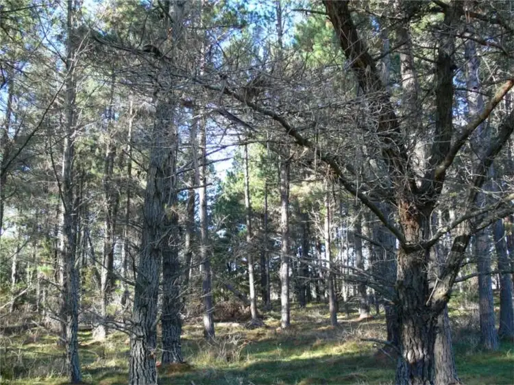Seventh view of Homely land listing, Lot 264 Panoramic Drive, Stanthorpe QLD 4380